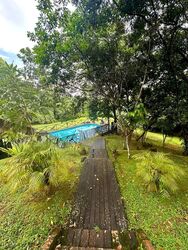 Thomson Road (D11), Detached #498337241